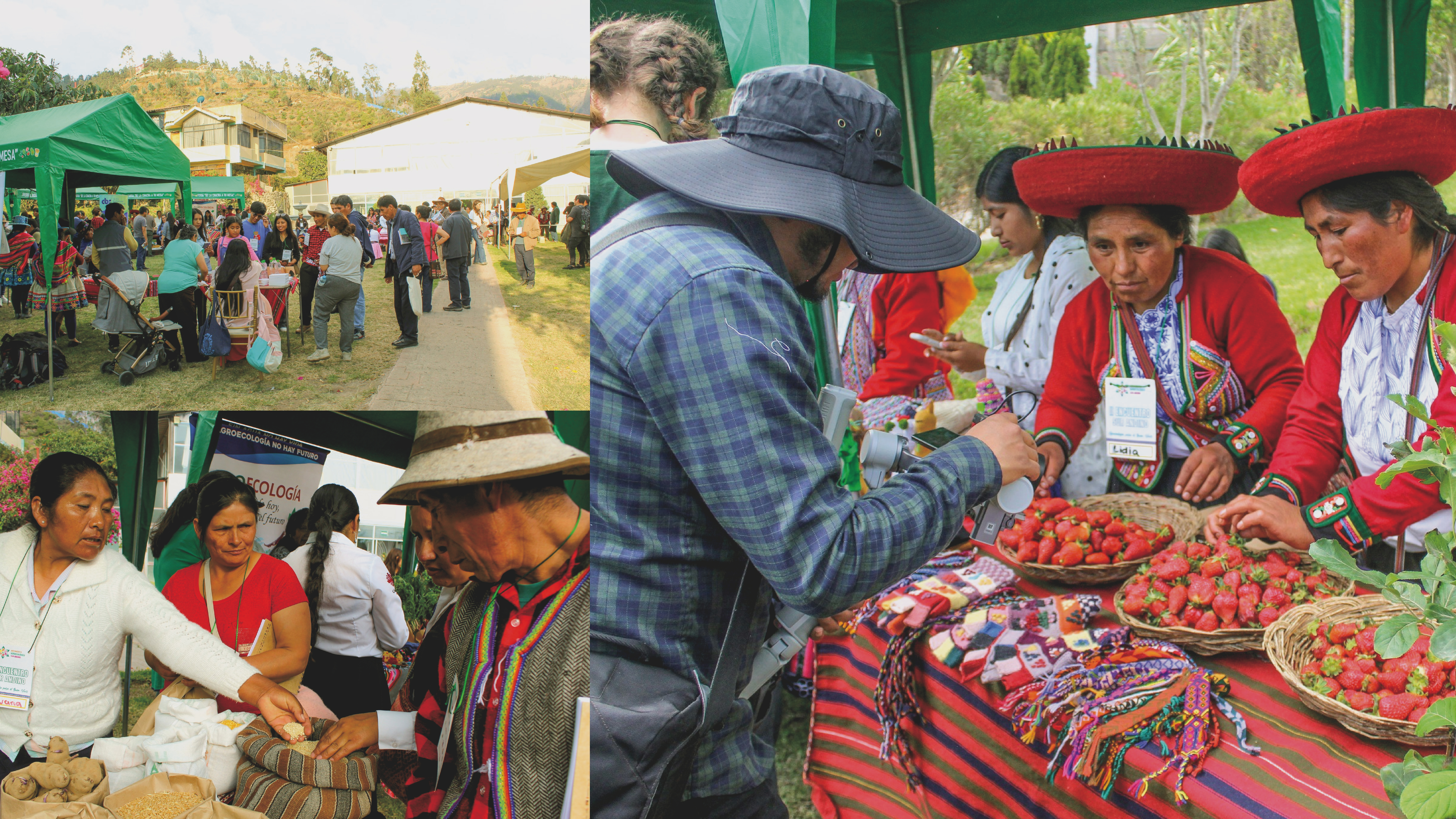 II Encuentro Sur Andino de Agroecología
